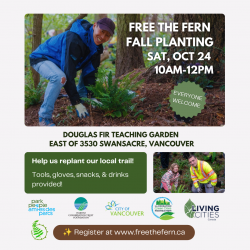 Fall Planting - Champlain Heights Trails, Vancouver photo