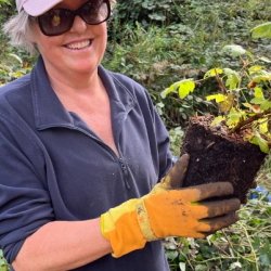 Indigenous Species Planting & Invasive Pull - Everett Crowley Park, Vancouver photo