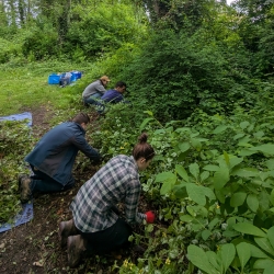 Ready, Set, Pull! - Mackie Park, Delta photo